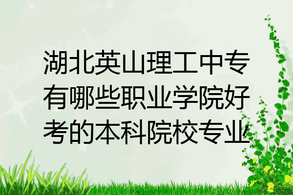 湖北英山理工中专有哪些职业学院好考的本科院校专业