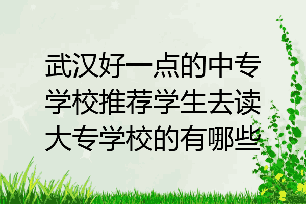 武汉好一点的中专学校推荐学生去读大专学校的有哪些