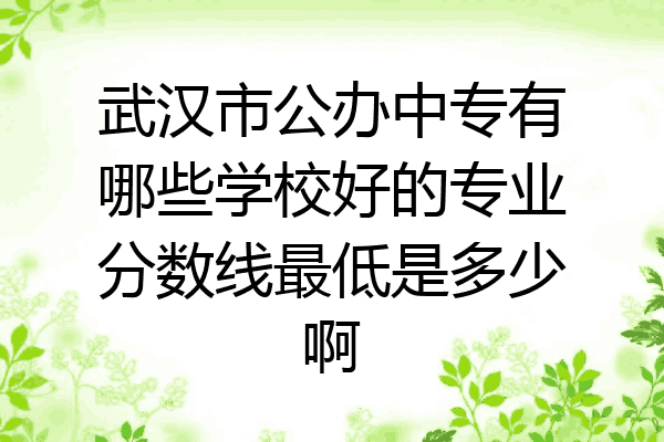武汉市公办中专有哪些学校好的专业分数线最低是多少啊