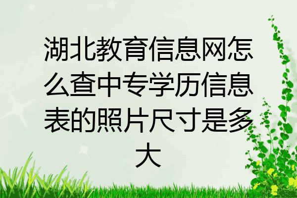 湖北教育信息网怎么查中专学历信息表的照片尺寸是多大