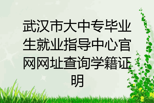 武汉市大中专毕业生就业指导中心官网网址查询学籍证明