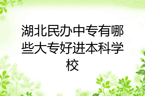 湖北民办中专有哪些大专好进本科学校