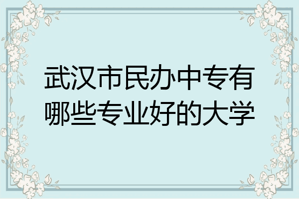 武汉市民办中专有哪些专业好的大学