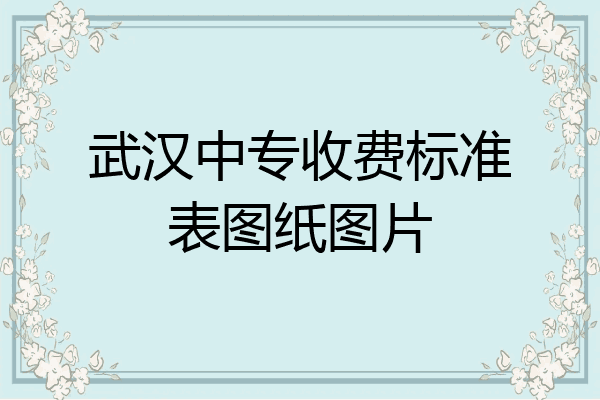 武汉中专收费标准表图纸图片