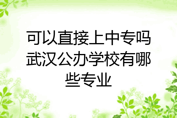 可以直接上中专吗武汉公办学校有哪些专业