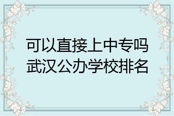 可以直接上中专吗武汉公办学校排名