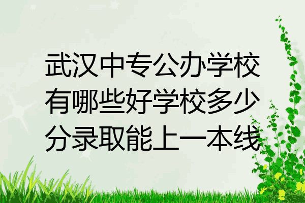 武汉中专公办学校有哪些好学校多少分录取能上一本线
