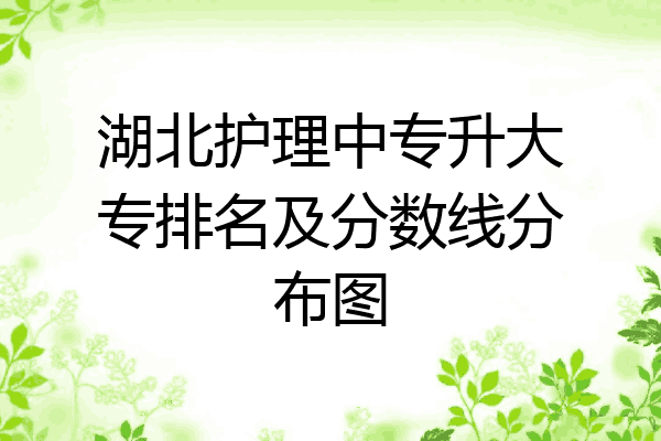 湖北护理中专升大专排名及分数线分布图