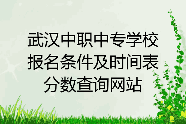 武汉中职中专学校报名条件及时间表分数查询网站