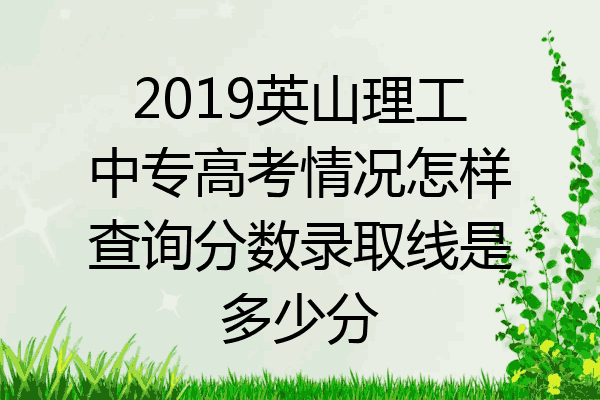 2019英山理工中专高考情况怎样查询分数录取线是多少分