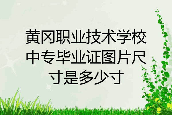 黄冈职业技术学校中专毕业证图片尺寸是多少寸