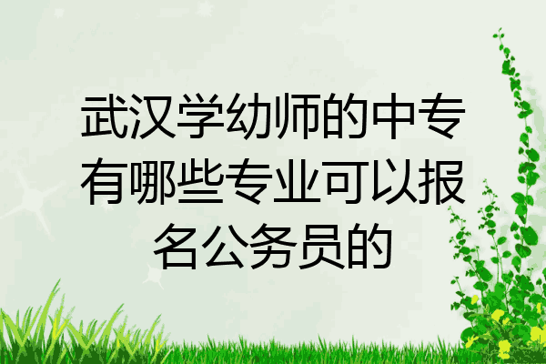 武汉学幼师的中专有哪些专业可以报名公务员的