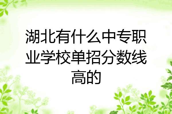 湖北有什么中专职业学校单招分数线高的
