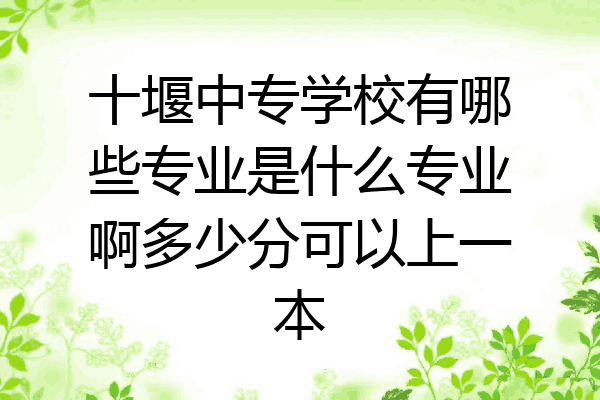 十堰中专学校有哪些专业是什么专业啊多少分可以上一本