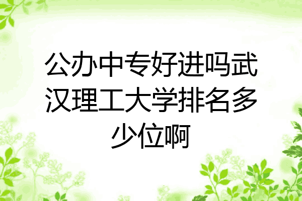 公办中专好进吗武汉理工大学排名多少位啊