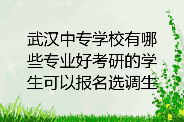 武汉中专学校有哪些专业好考研的学生可以报名选调生