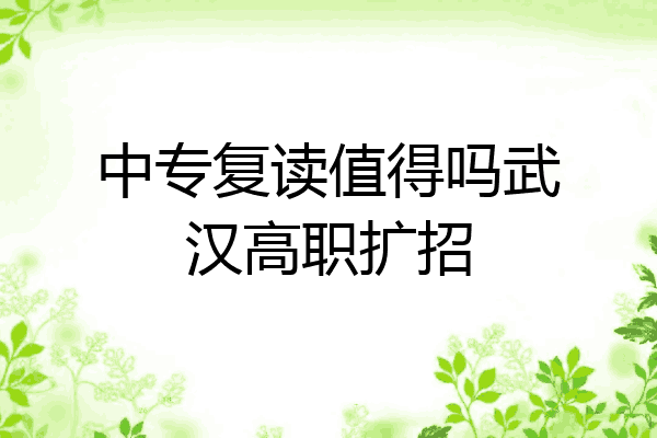 中专复读值得吗武汉高职扩招