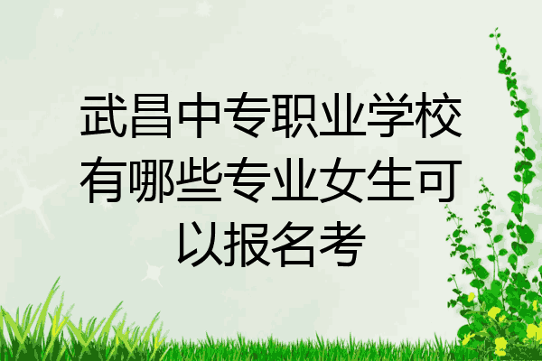 武昌中专职业学校有哪些专业女生可以报名考