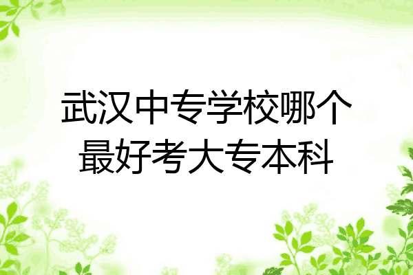 武汉中专学校哪个最好考大专本科
