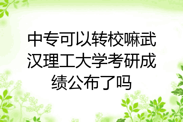 中专可以转校嘛武汉理工大学考研成绩公布了吗