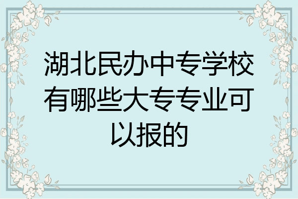 湖北民办中专学校有哪些大专专业可以报的