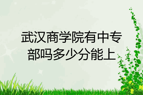 武汉商学院有中专部吗多少分能上