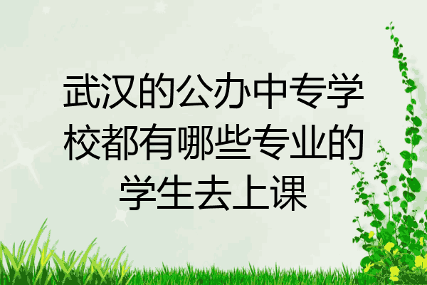 武汉的公办中专学校都有哪些专业的学生去上课