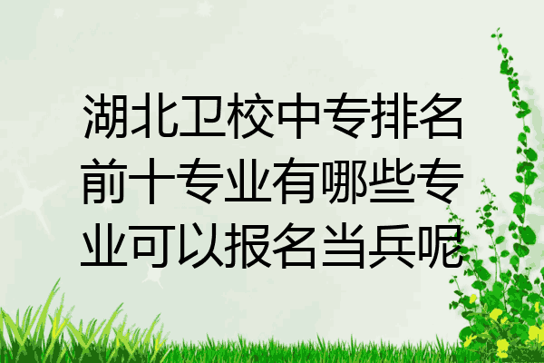湖北卫校中专排名前十专业有哪些专业可以报名当兵呢