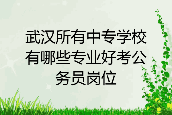 武汉所有中专学校有哪些专业好考公务员岗位