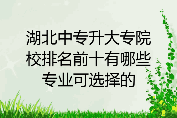 湖北中专升大专院校排名前十有哪些专业可选择的