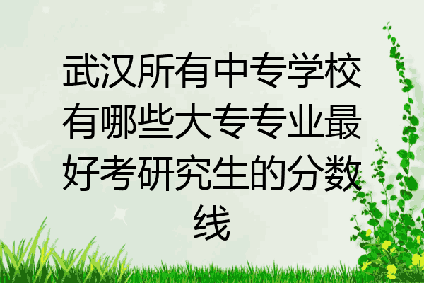 武汉所有中专学校有哪些大专专业最好考研究生的分数线