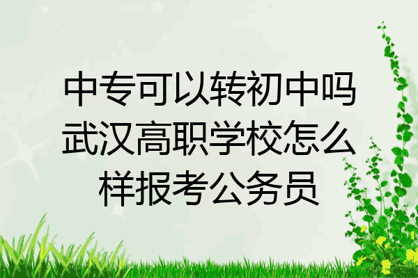 中专可以转初中吗武汉高职学校怎么样报考公务员
