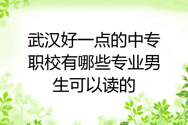 武汉好一点的中专职校有哪些专业男生可以读的