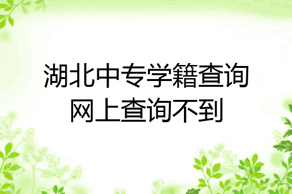 湖北中专学籍查询网上查询不到
