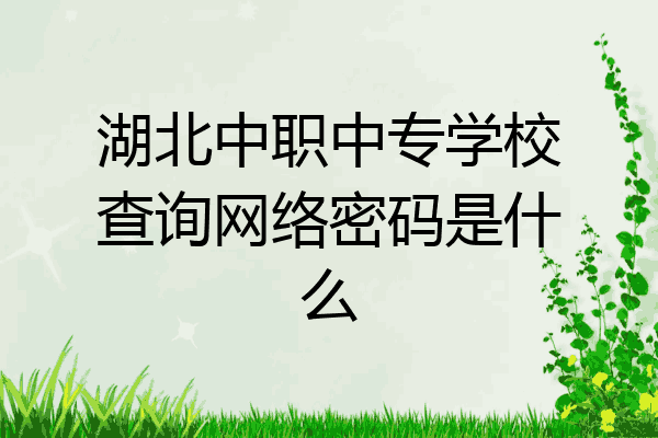 湖北中职中专学校查询网络密码是什么