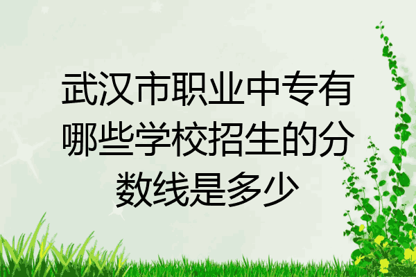 武汉市职业中专有哪些学校招生的分数线是多少