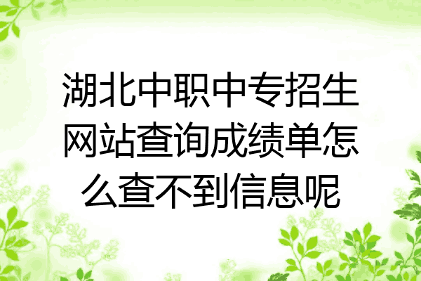 湖北中职中专招生网站查询成绩单怎么查不到信息呢