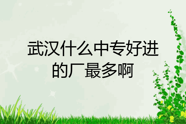 武汉什么中专好进的厂最多啊