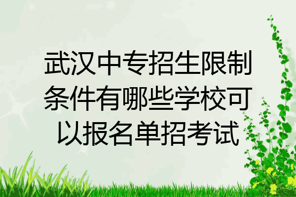 武汉中专招生限制条件有哪些学校可以报名单招考试