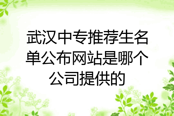 武汉中专推荐生名单公布网站是哪个公司提供的