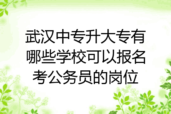 武汉中专升大专有哪些学校可以报名考公务员的岗位