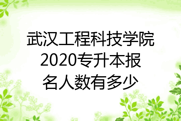 武汉工程科技学院2020专升本报名人数有多少