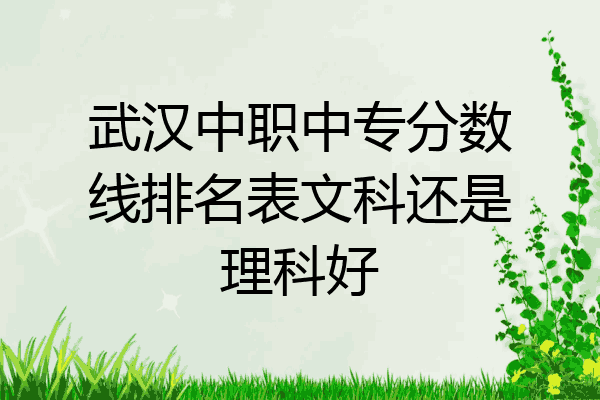 武汉中职中专分数线排名表文科还是理科好