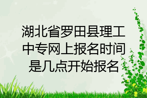 湖北省罗田县理工中专网上报名时间是几点开始报名
