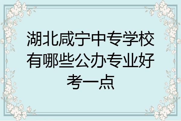 湖北咸宁中专学校有哪些公办专业好考一点