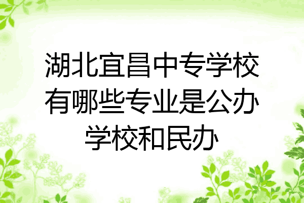 湖北宜昌中专学校有哪些专业是公办学校和民办