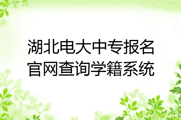 湖北电大中专报名官网查询学籍系统