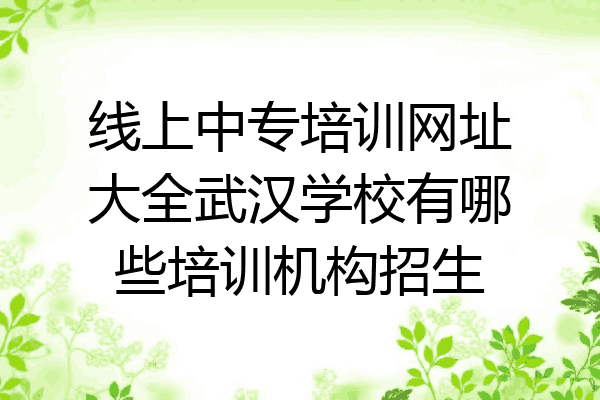 线上中专培训网址大全武汉学校有哪些培训机构招生