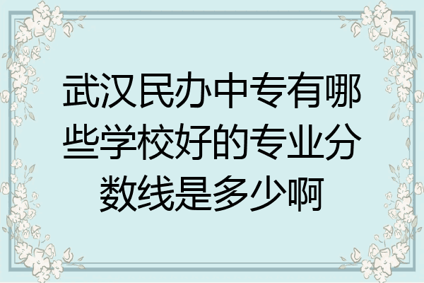 武汉民办中专有哪些学校好的专业分数线是多少啊