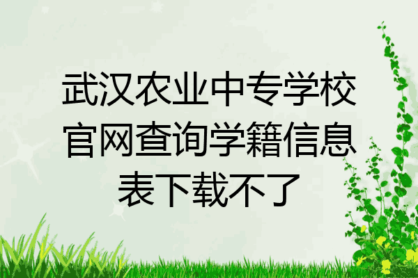 武汉农业中专学校官网查询学籍信息表下载不了